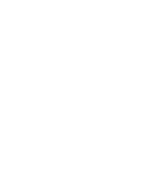 Logo TRM
